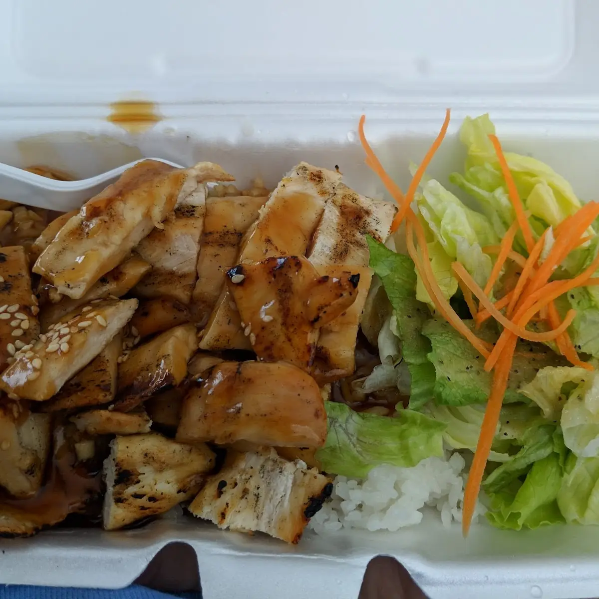 Chicken Teriyaki Plate