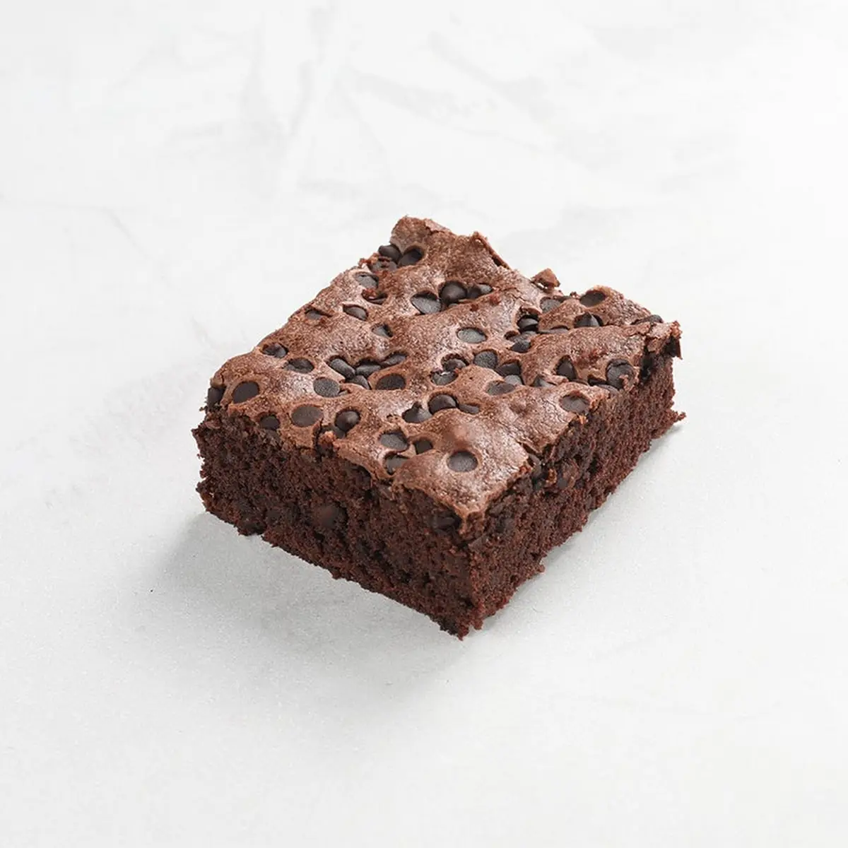 Chocolate Chip Brownie