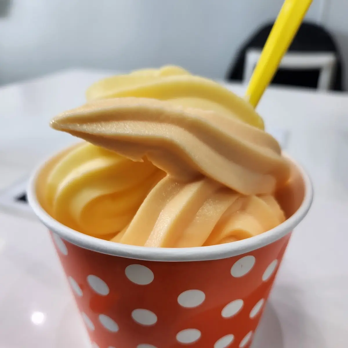 Frozen Yogurt