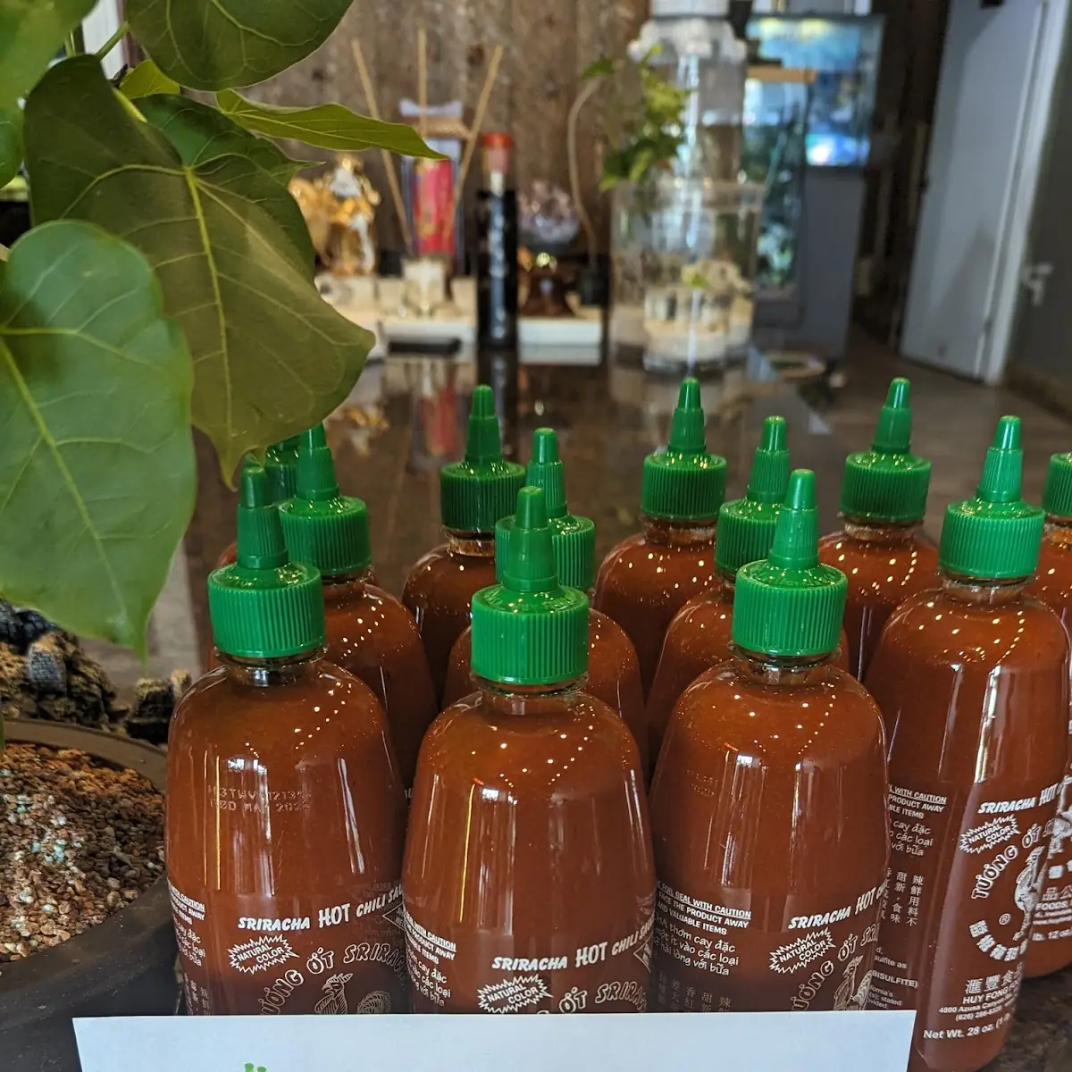 Hot Sauce
