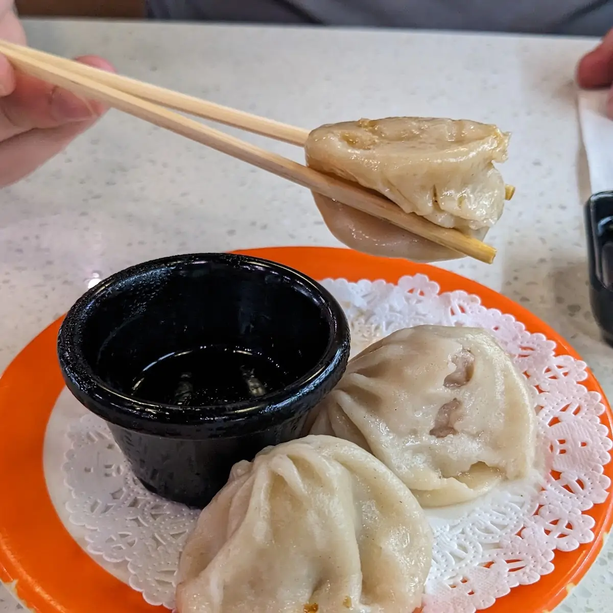 Pork Dumplings