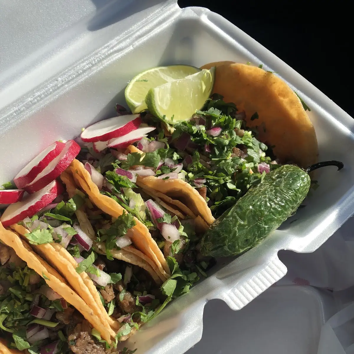 Al Pastor and Birria Tacos