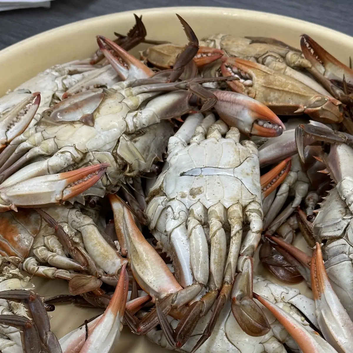 Dem Big Fat Boiled Crabs