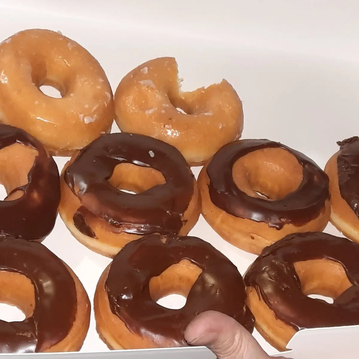 Chocolate Glazed Donuts and Glazed Donuts
