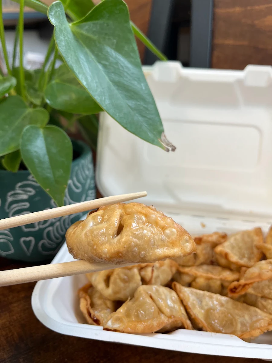 Steamed Korean Dumpling, Miga Waterloo Japanese and Korean Restaurant