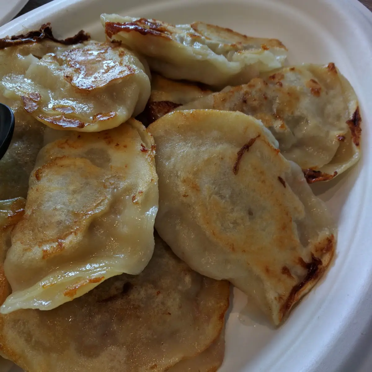 Pan Fried Pork Dumplings