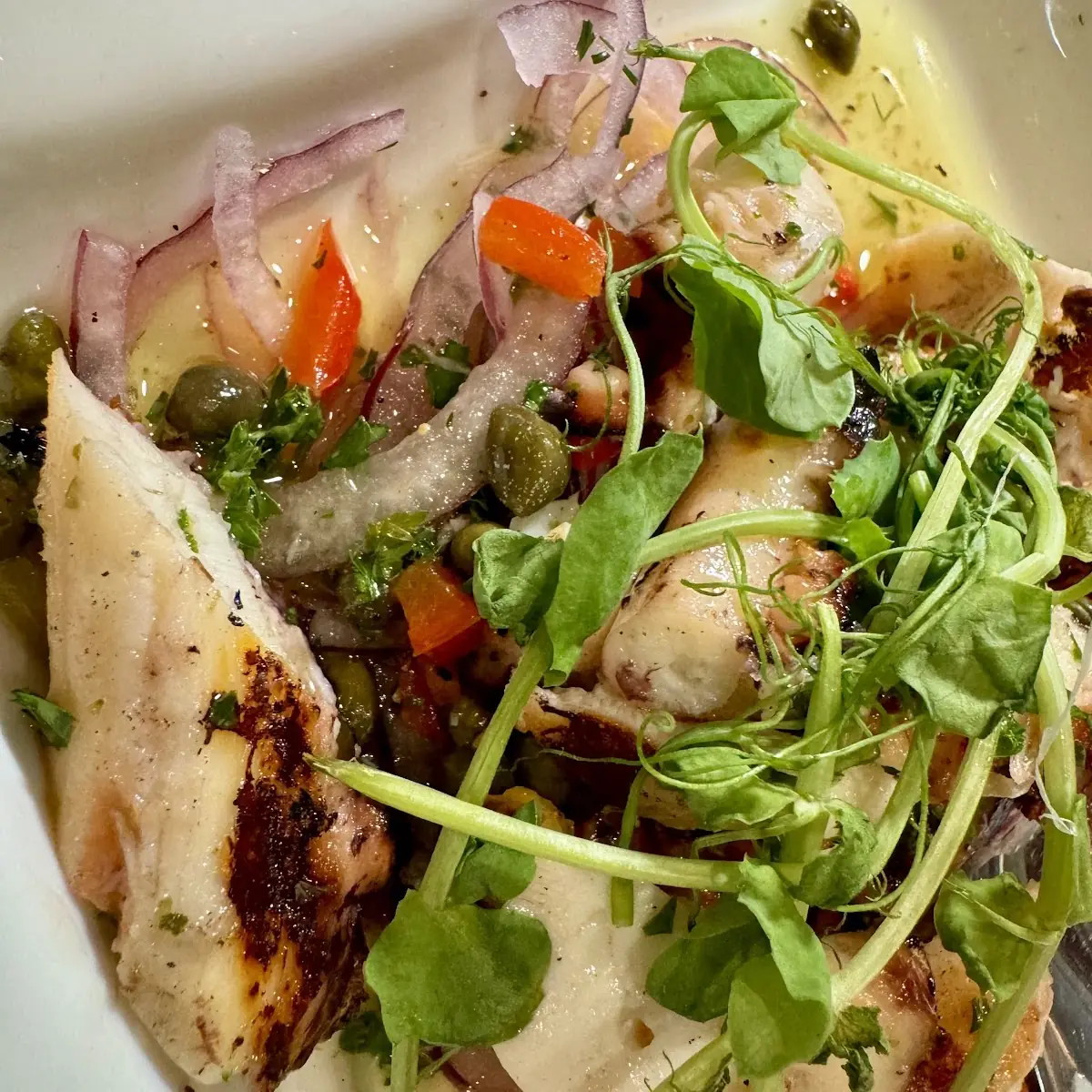 Grilled Octopus