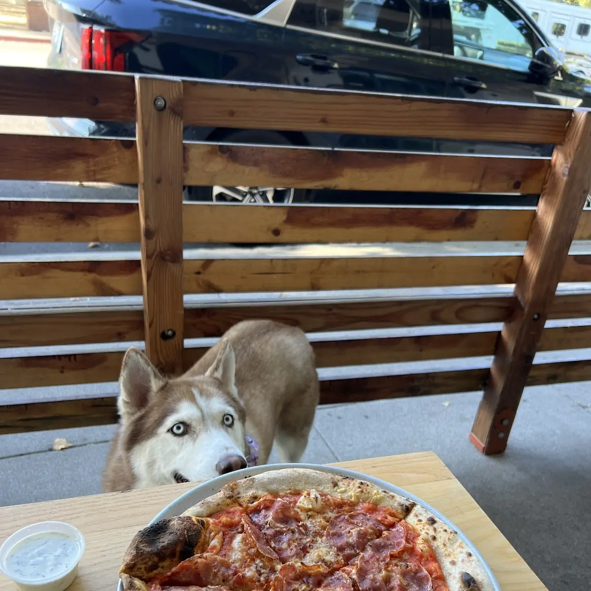 Meat Pizza