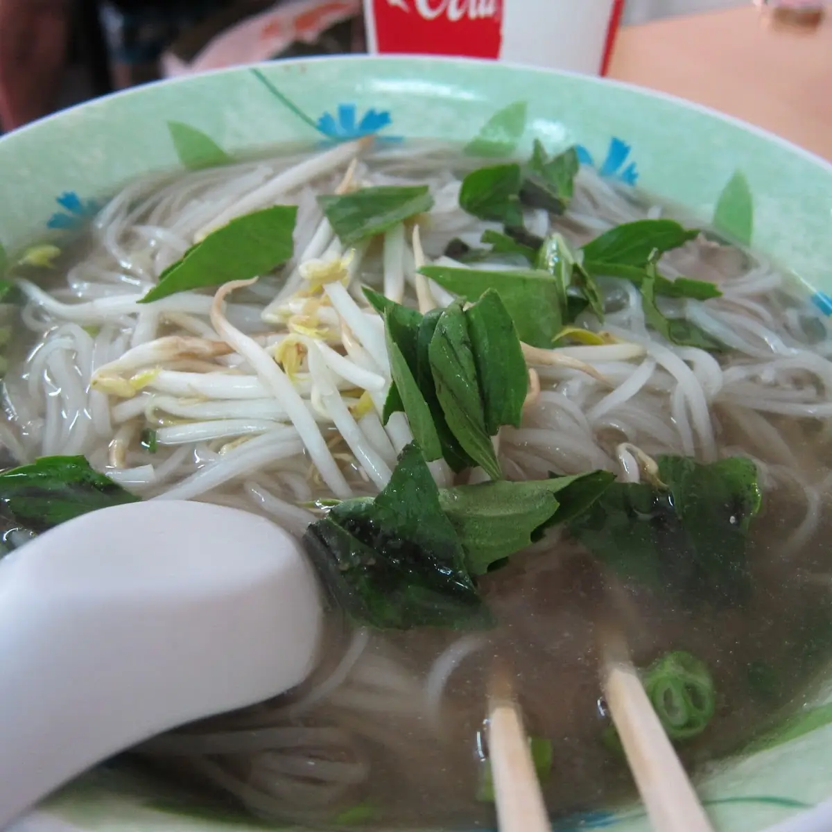 On Vietnamese Rice Noodle