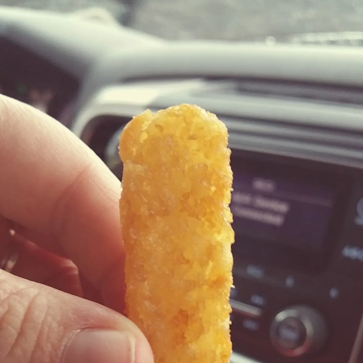 Mozzarella Sticks