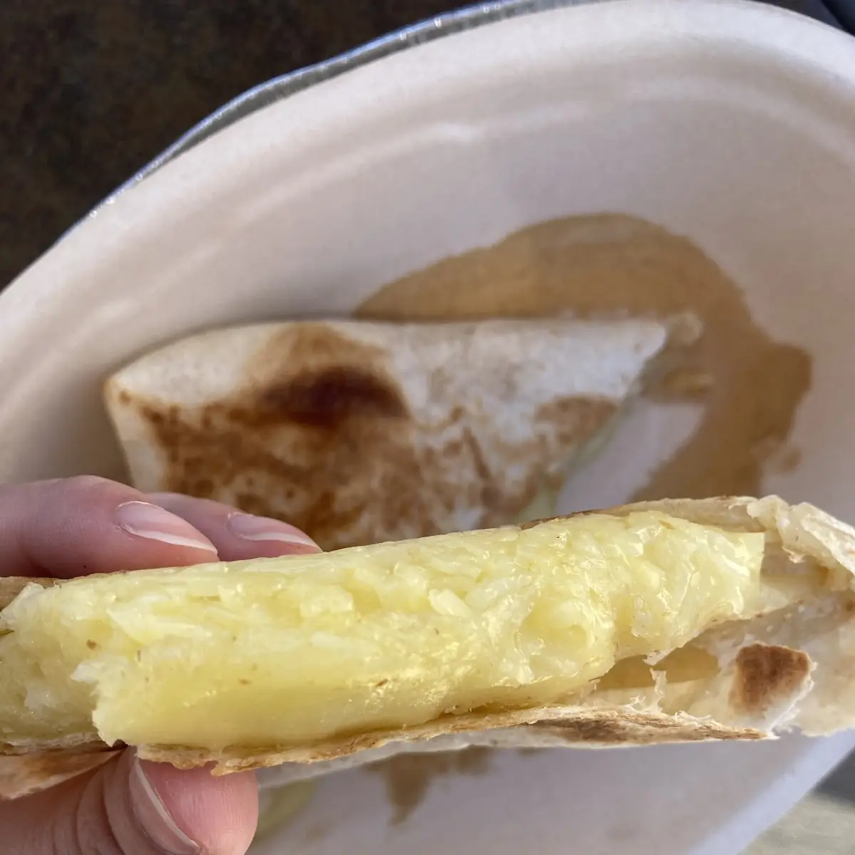 Cheese Quesadilla
