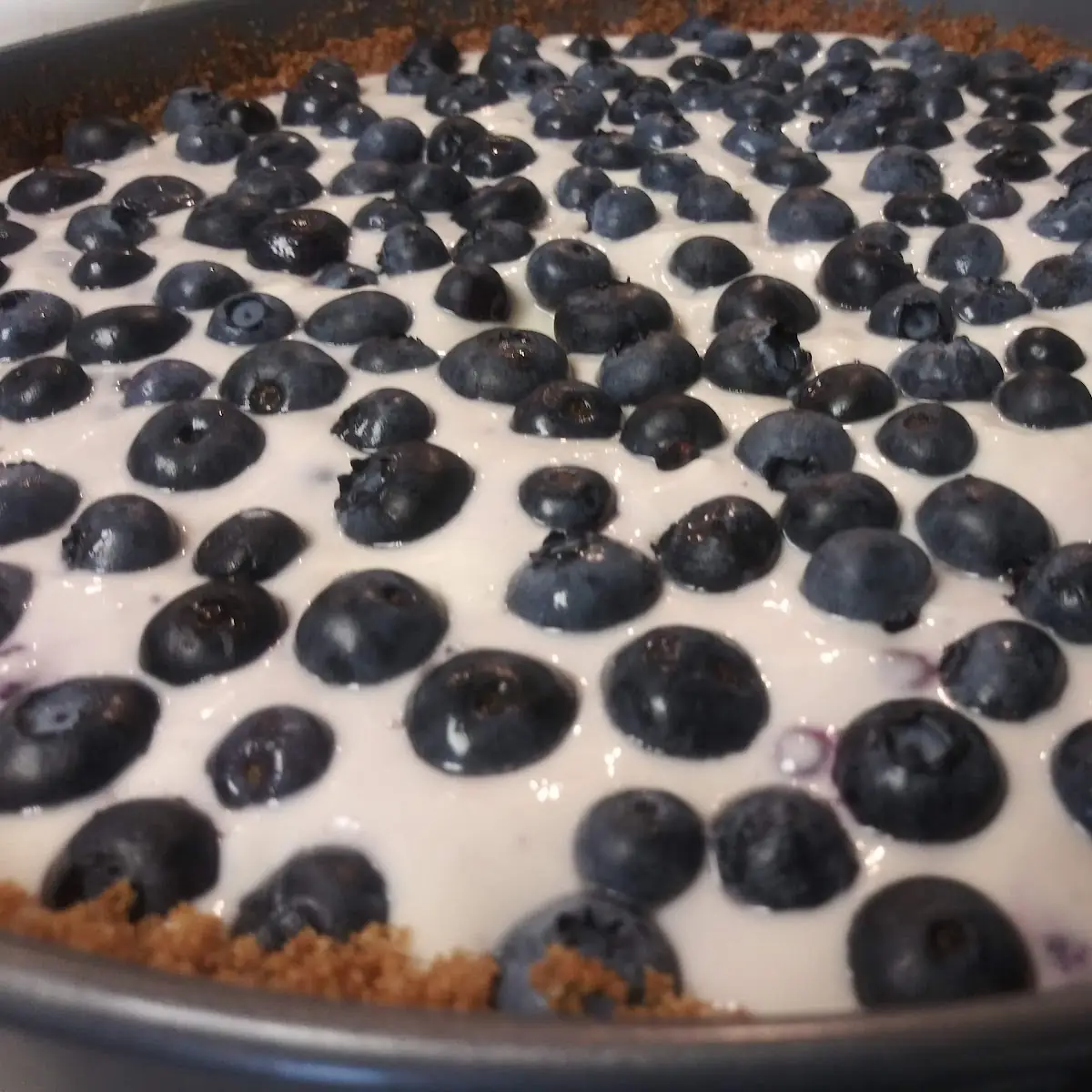 Blueberry Cheese Cake