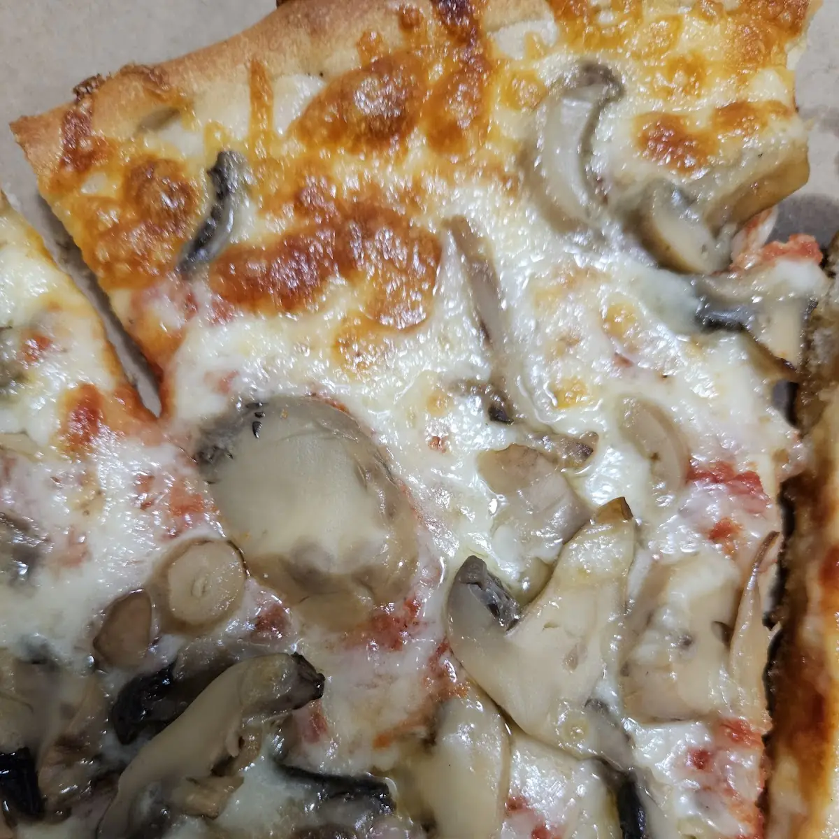 Mushroom Pizza