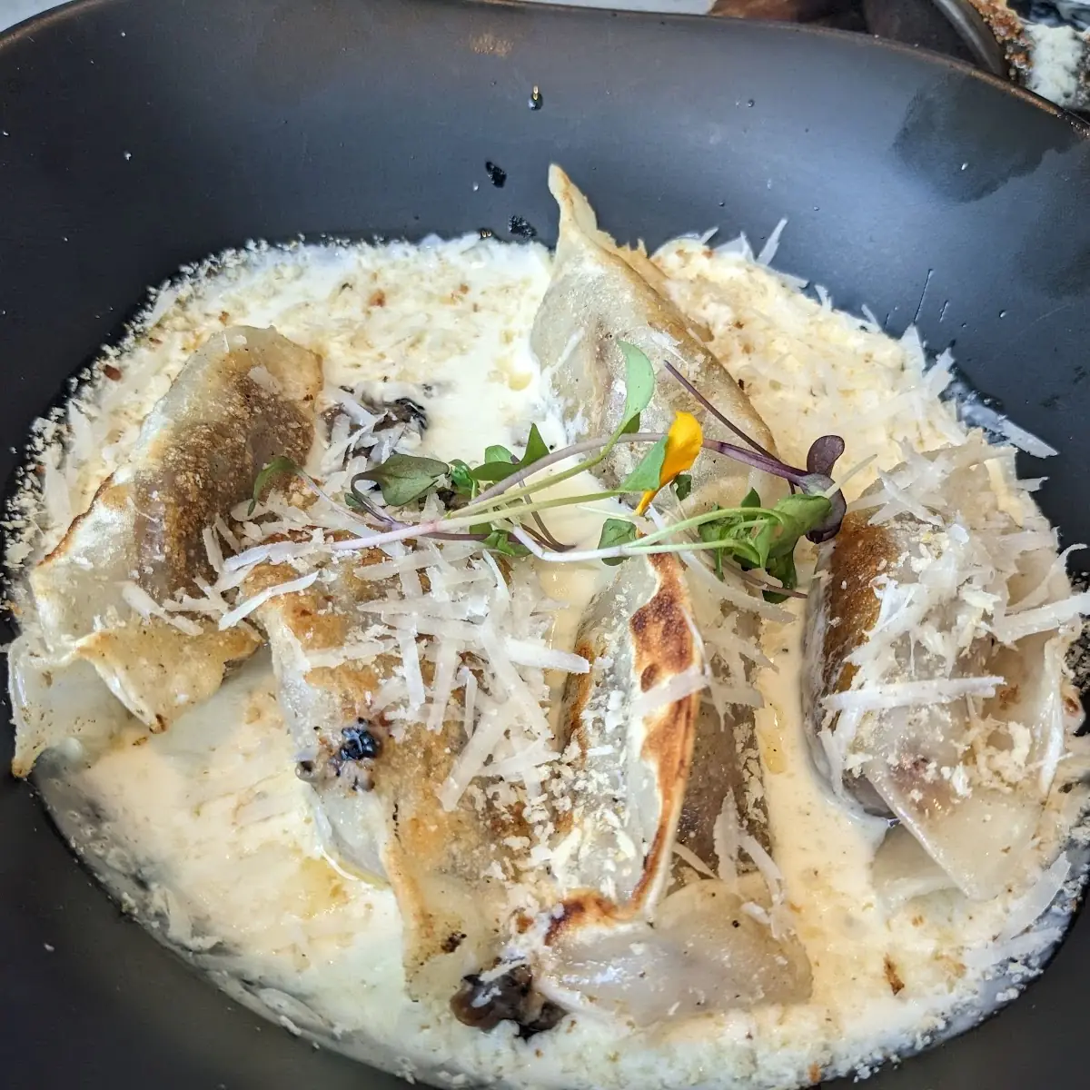 Dumpling De Short Ribs
