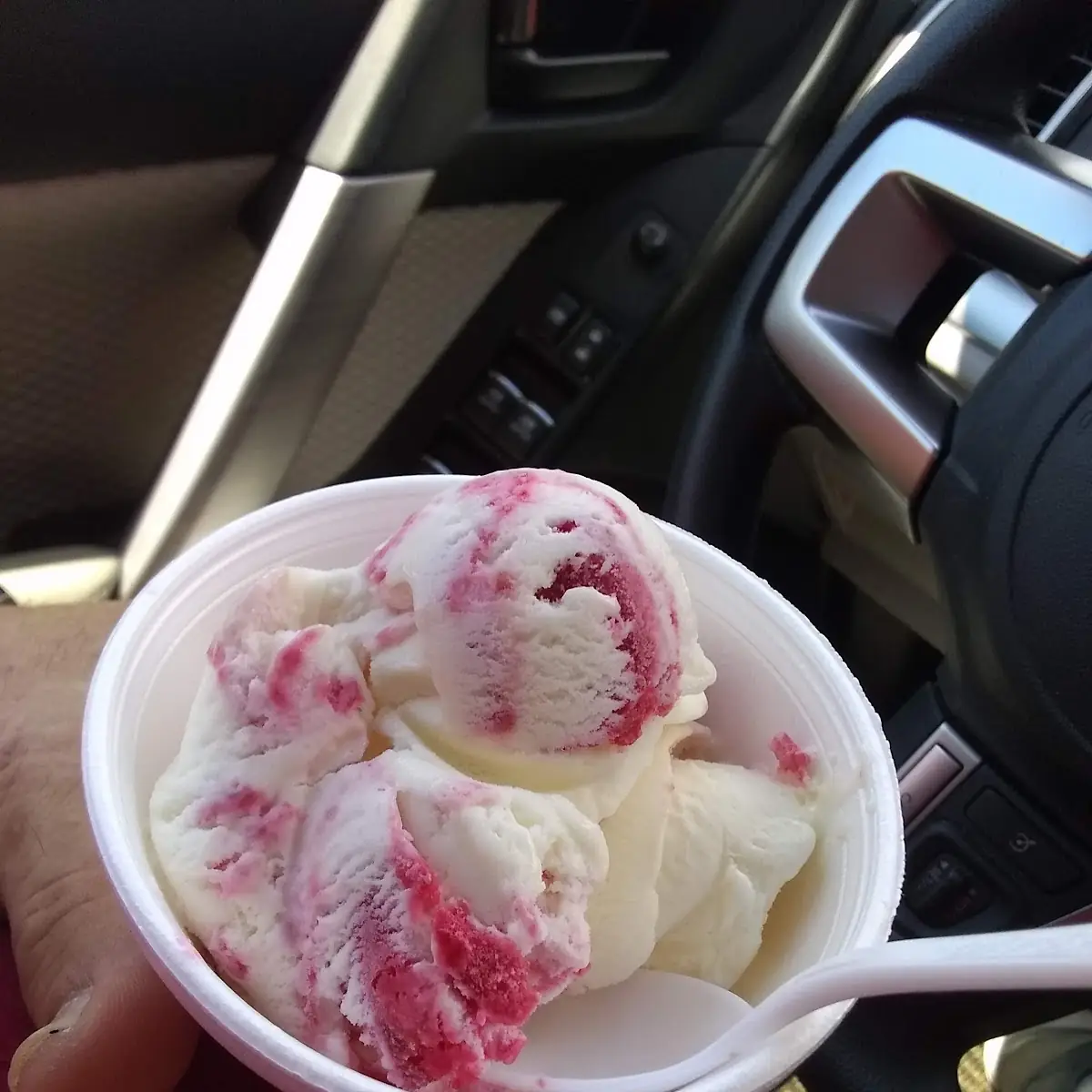 Raspberry Swirl No Sugar