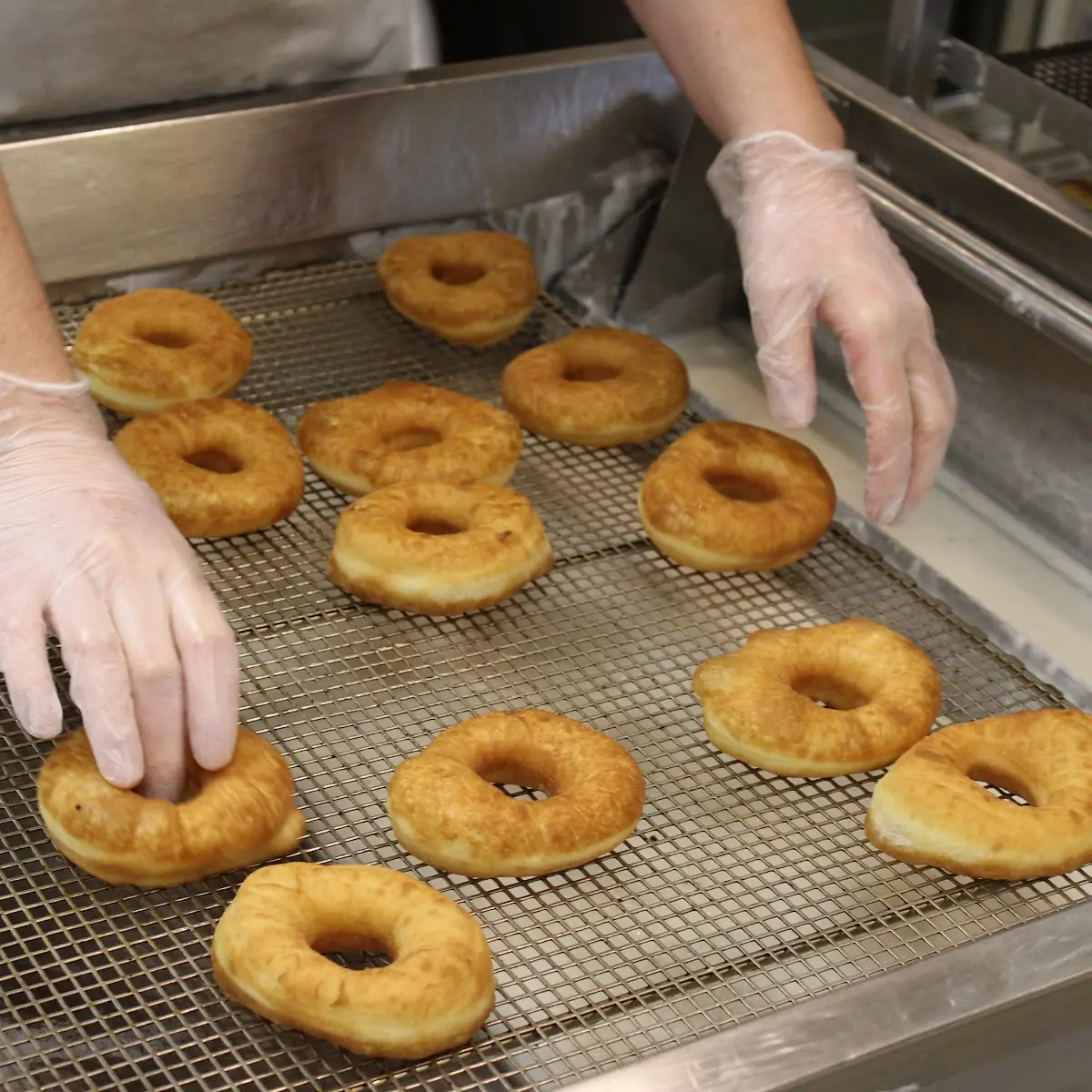 Doughnut