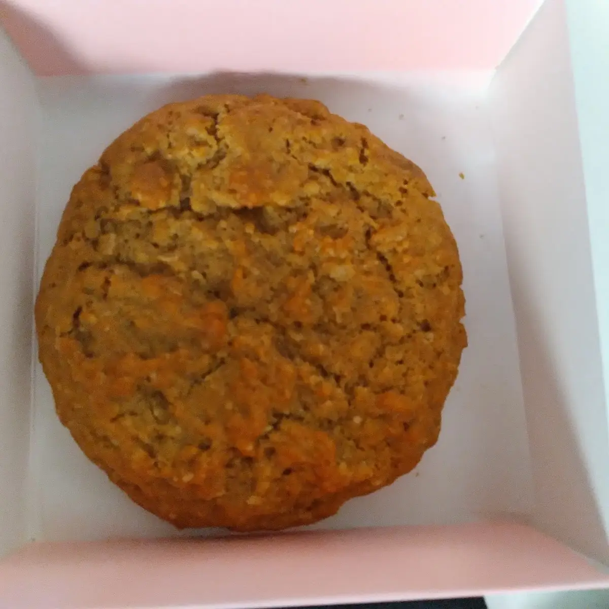 Oatmeal Cookie