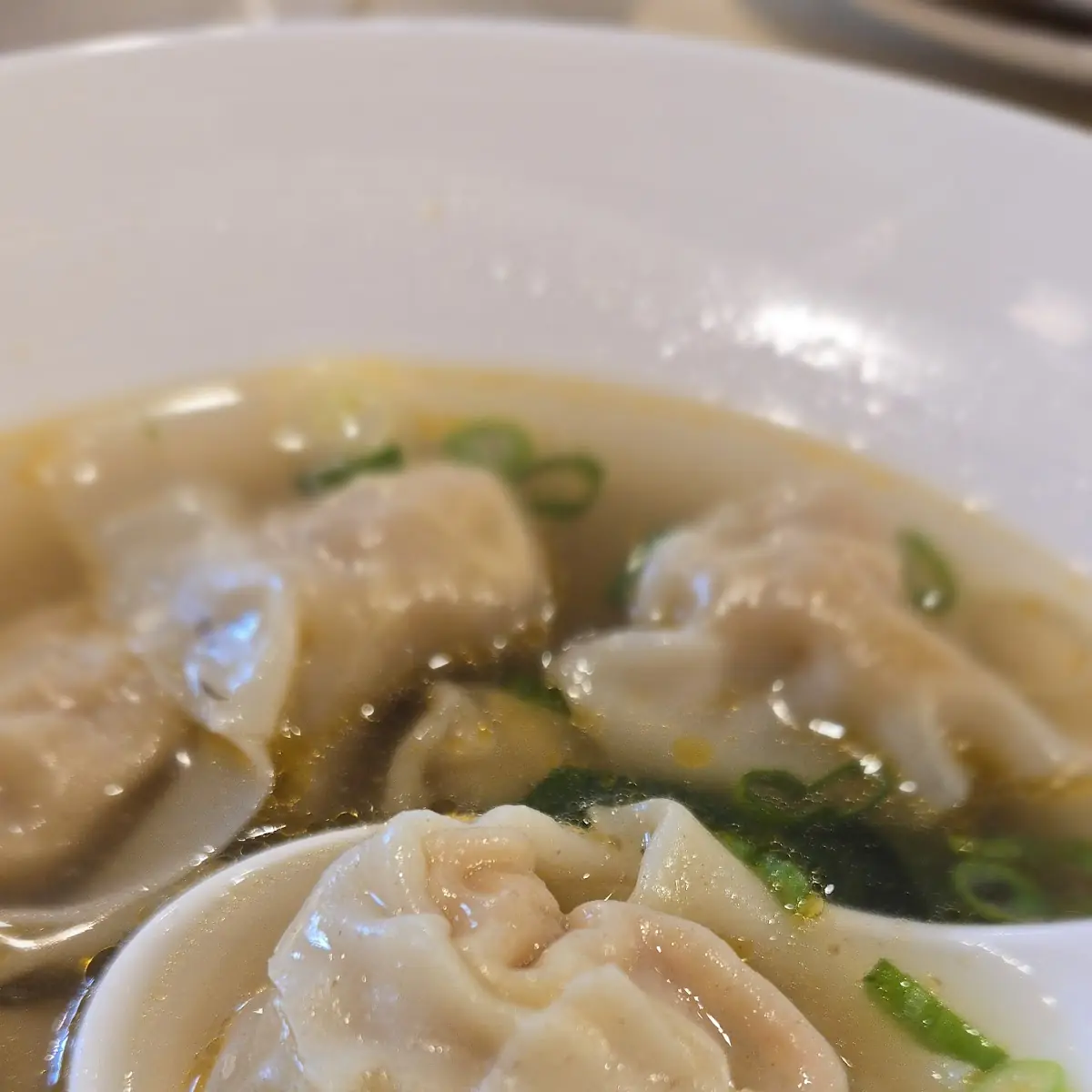Pork and Vegetable Wonton Soup