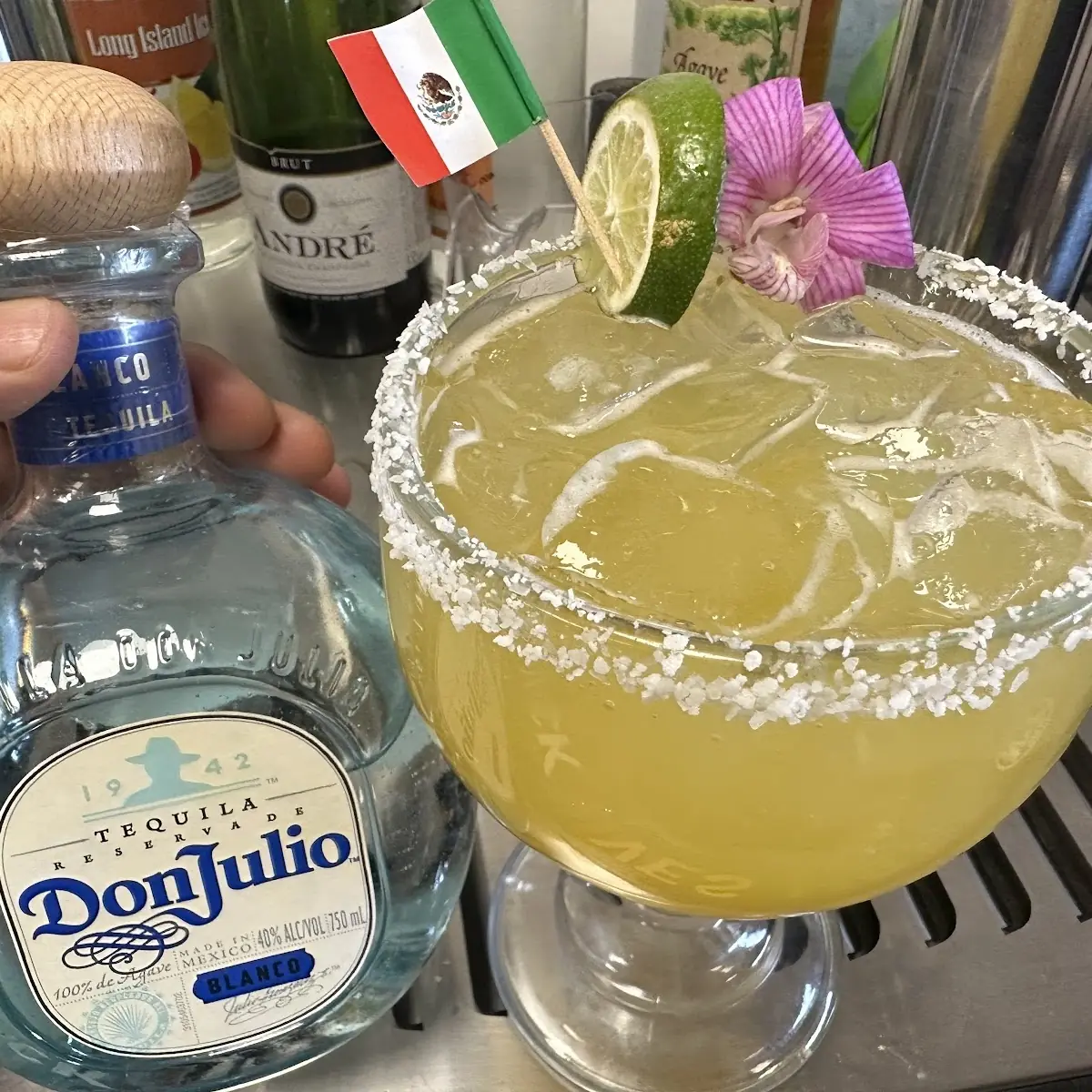 House Margarita