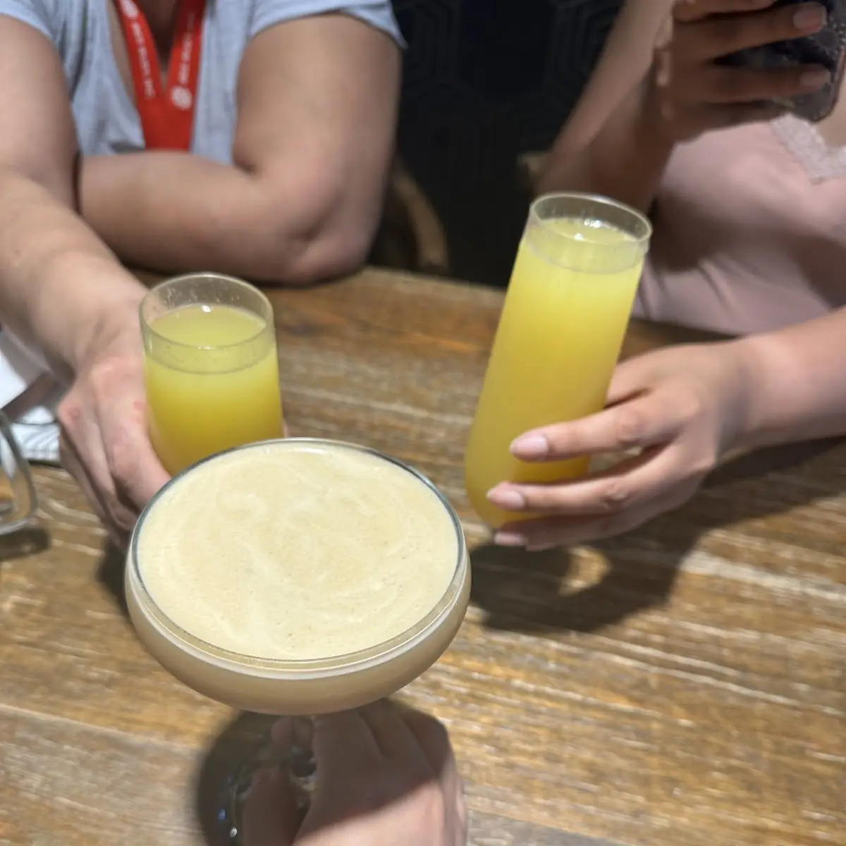 Mimosa Flight