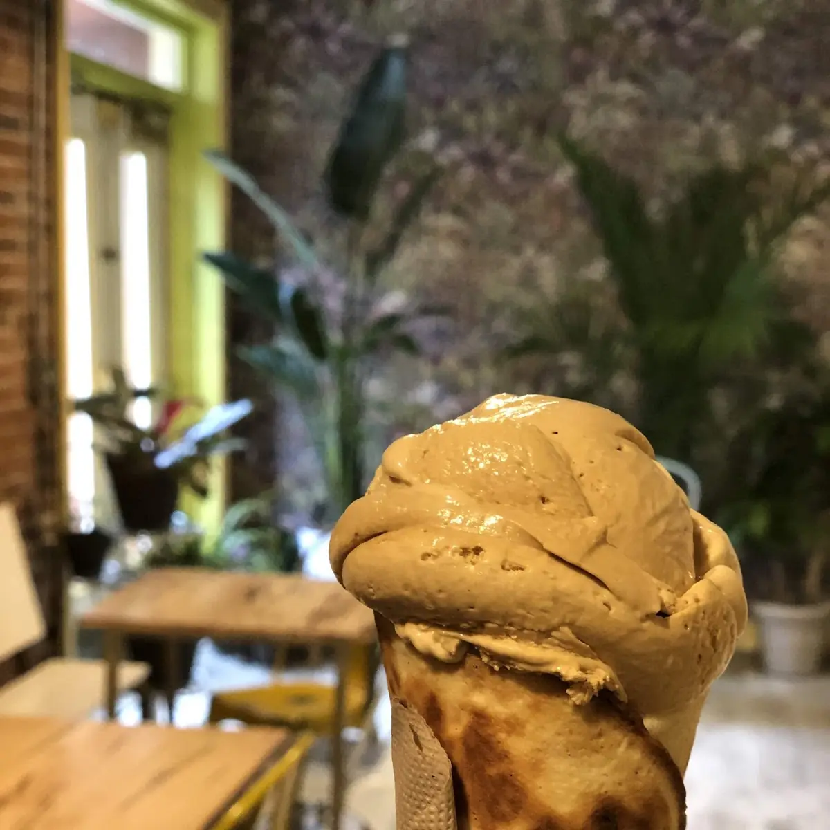 Gelato