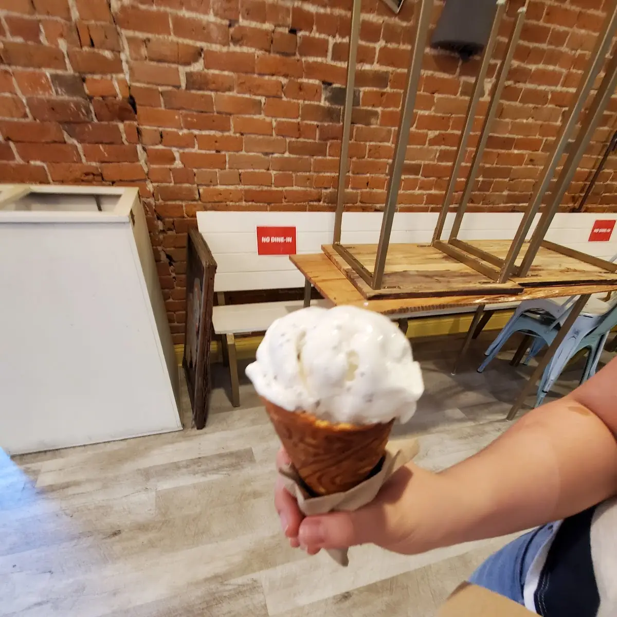 Mint Chocolate Chip Ice Cream