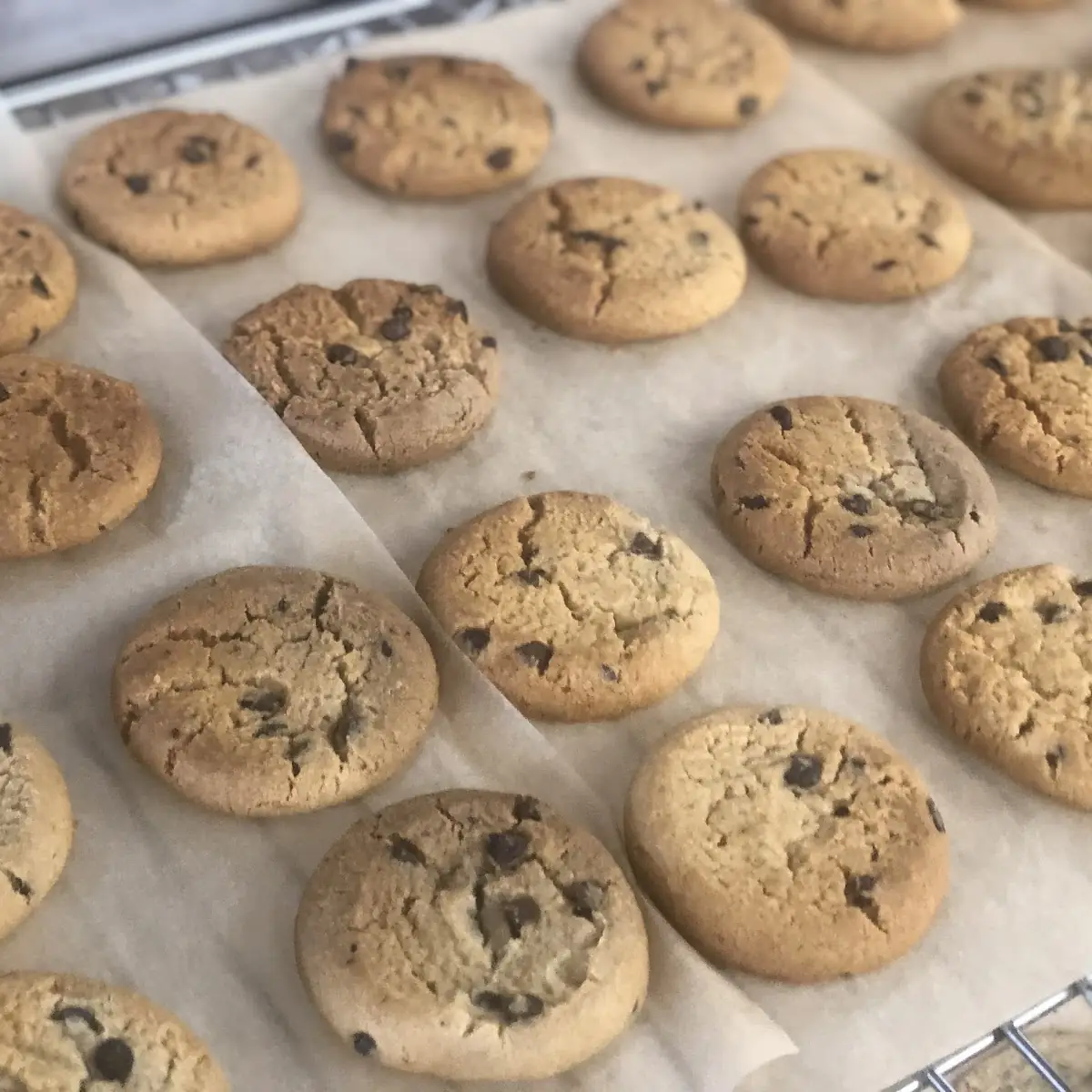 Chocolate Chip Cookies