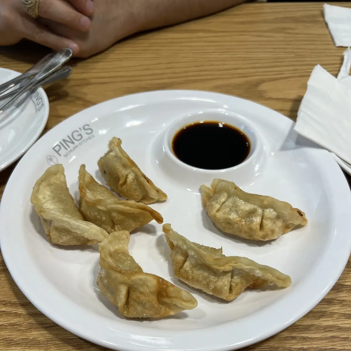 Pan-Fried Dumplings with Soy Sauce