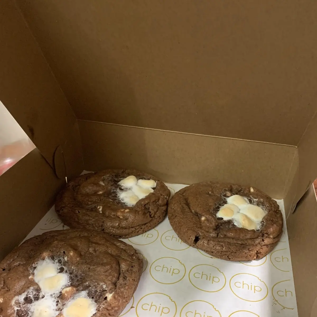 Hot Chocolate Cookie