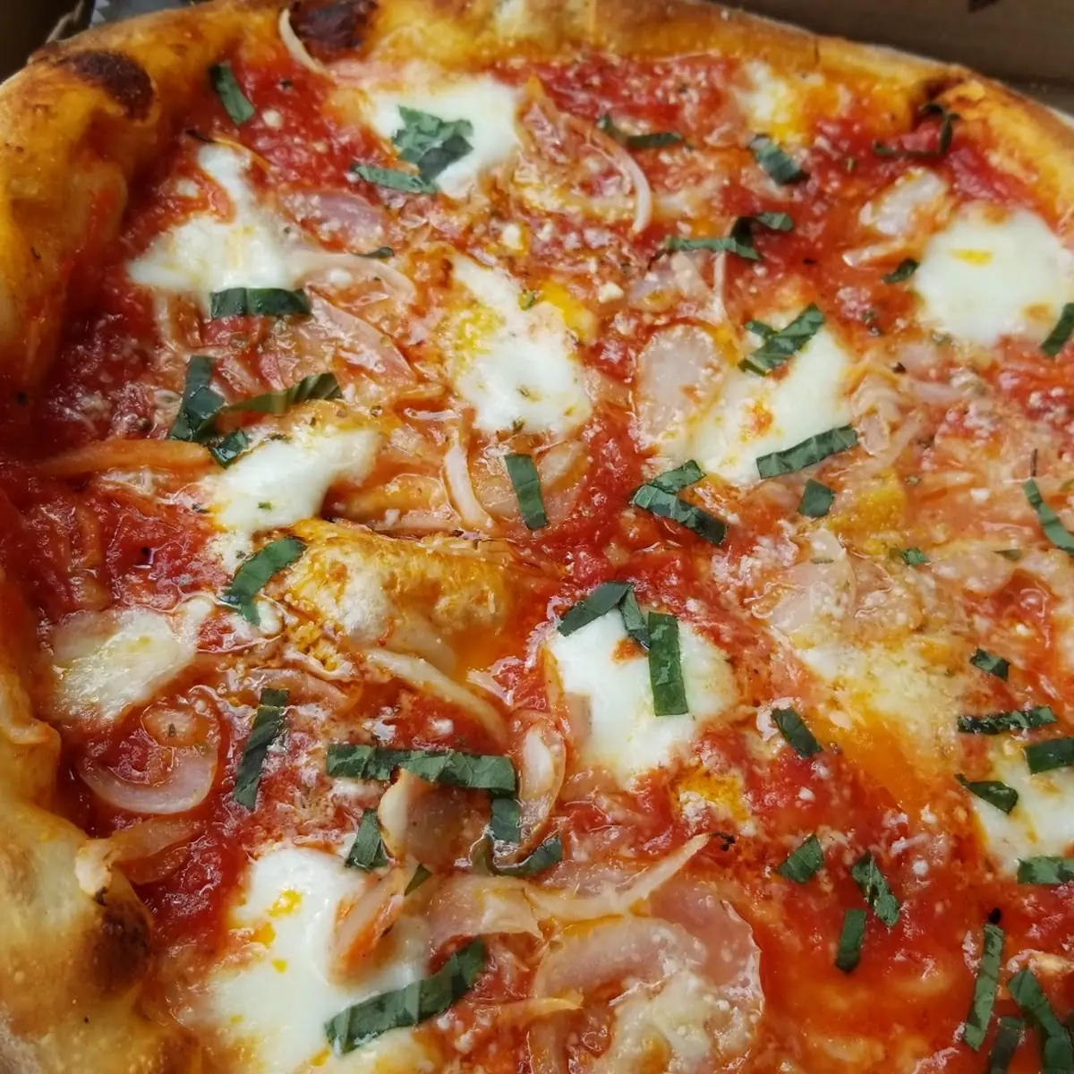 Pizza Margherita