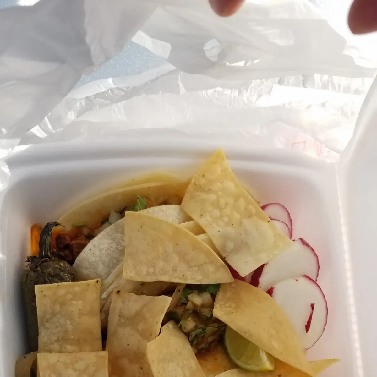 Tacos Grande Al Pastor