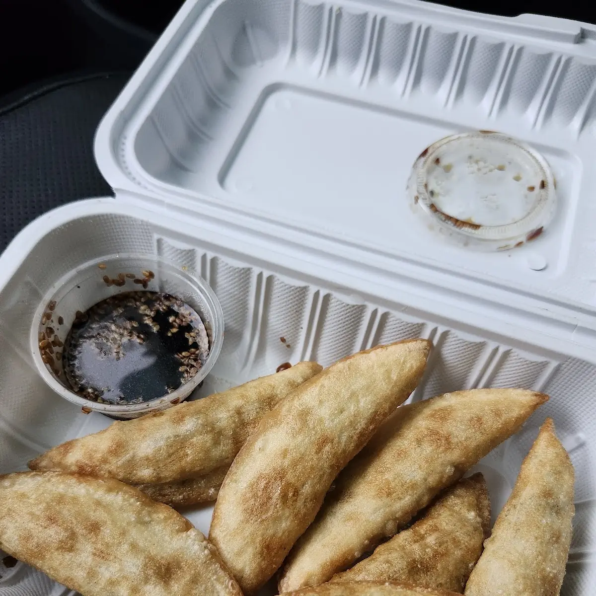 Fried Mandu
