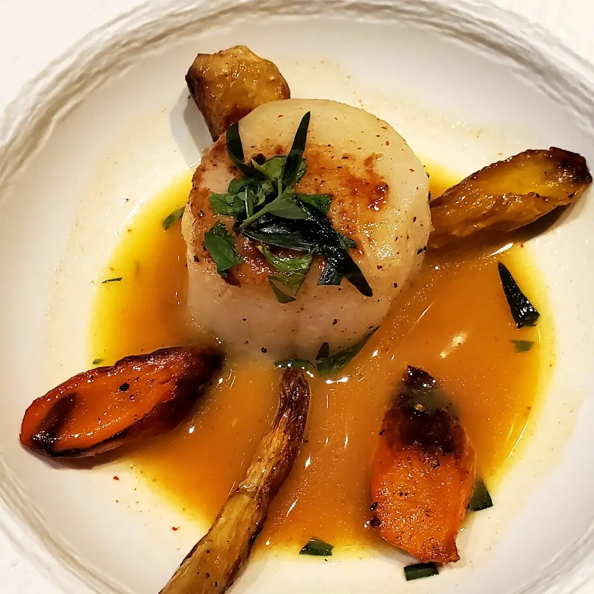 Sea Scallops