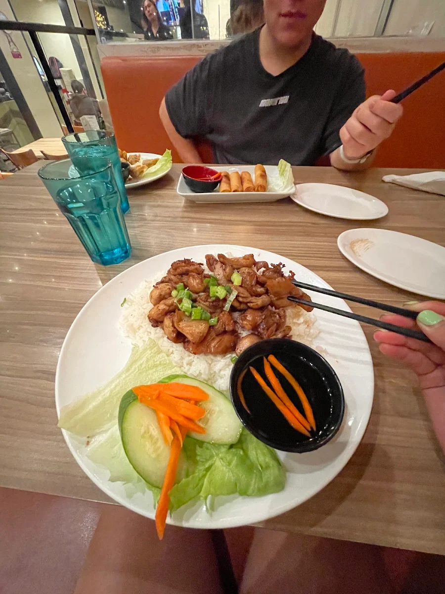 Grilled Chicken and Spring Roll with Rice Com GA Cha Go