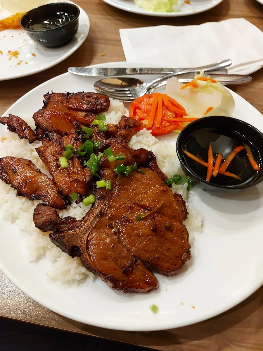Pork and Chicken Rice