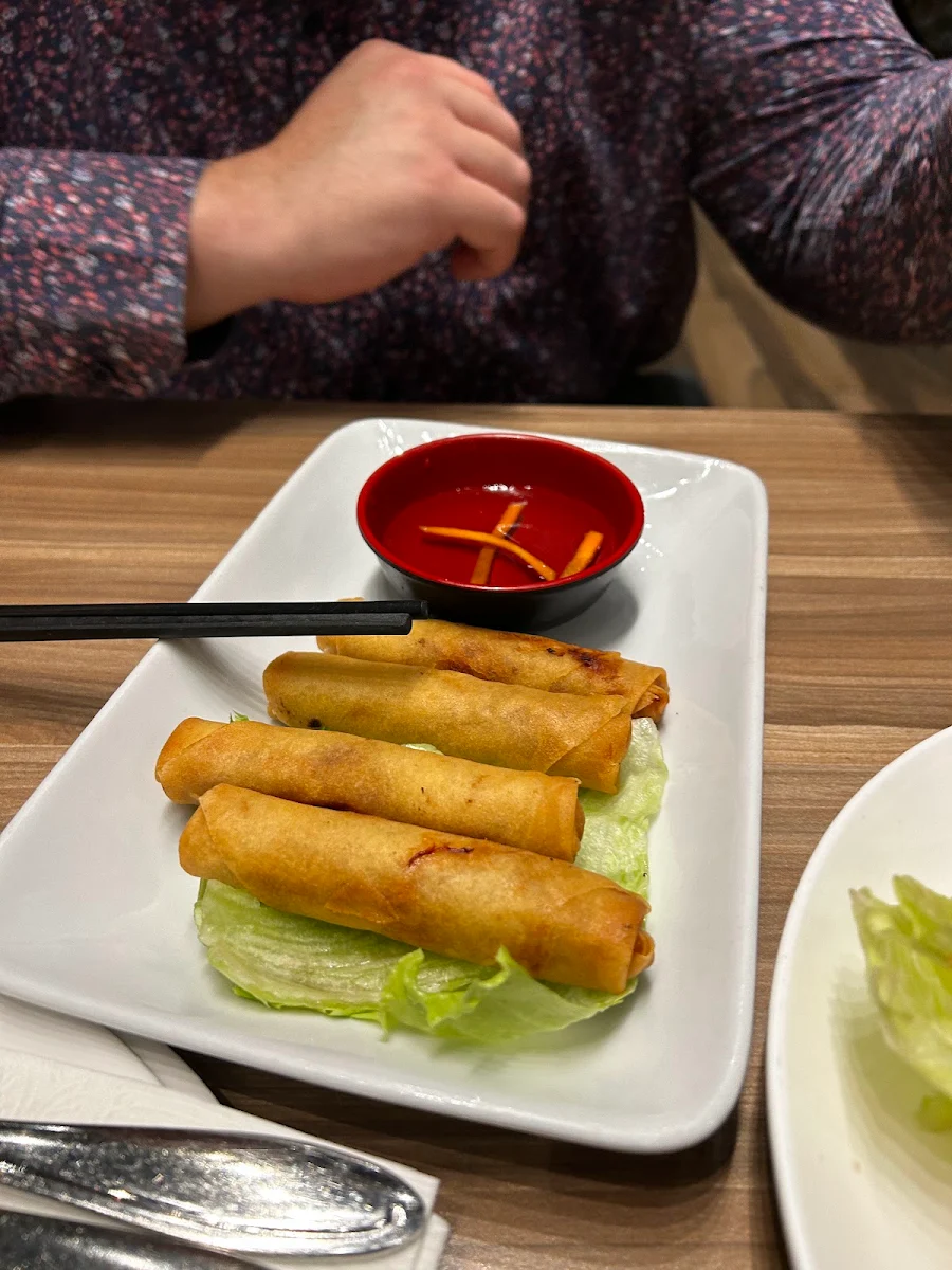 Spring Rolls Cha Gio 4 Pieces