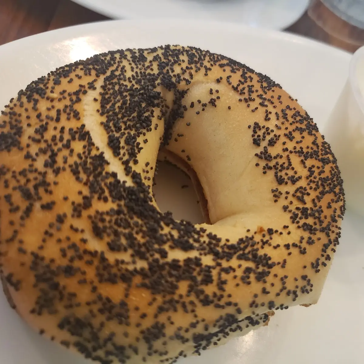 Poppy Seed Bagel