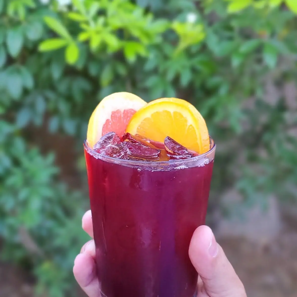 Red Sangria