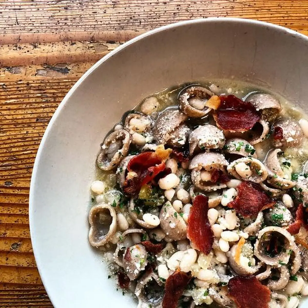 Wild Mushroom Cavatappi