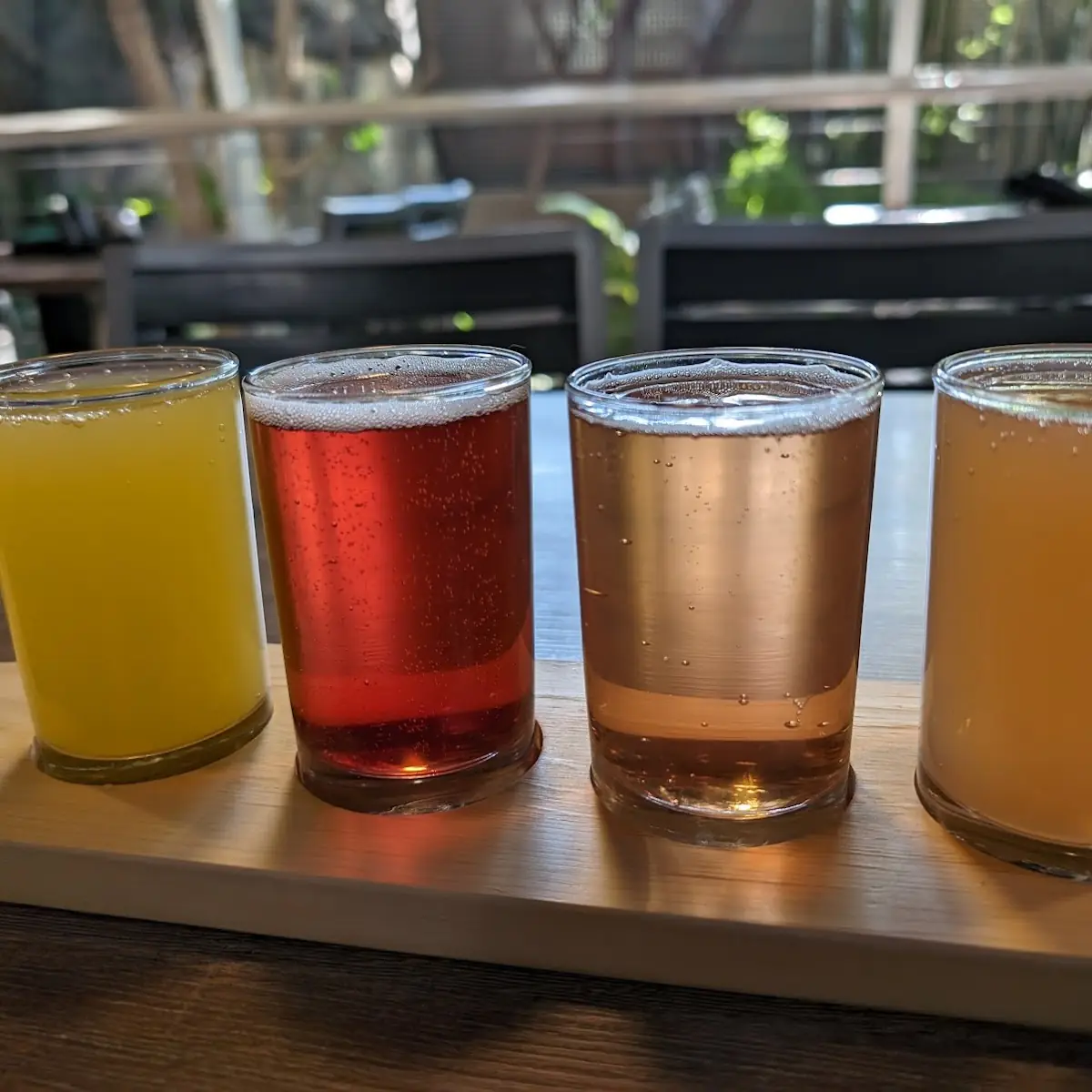 Mimosa Flight