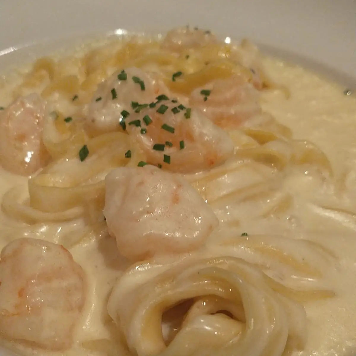 Shrimp Alfredo