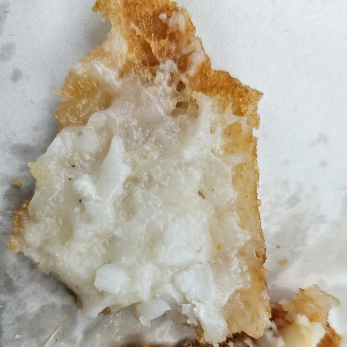 Deep Fried Fish, Moby Dick Restaurant
