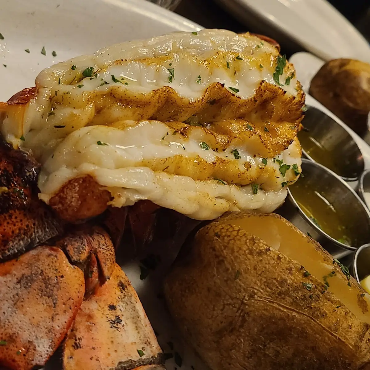 Lobster Tail