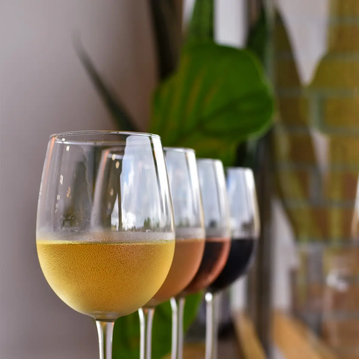 White Wine