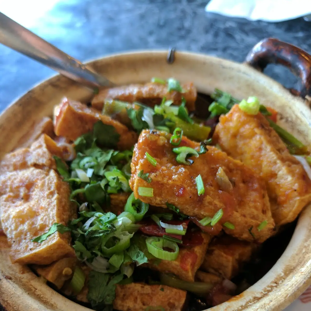 Spicy Bean Curd Fried Tofu