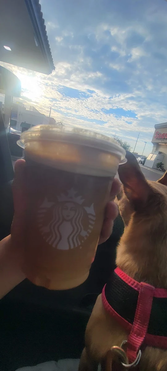 Vanilla Sweet Cream Nitro Cold Brew