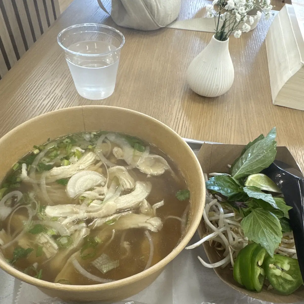 Plain Chicken Pho No Meat