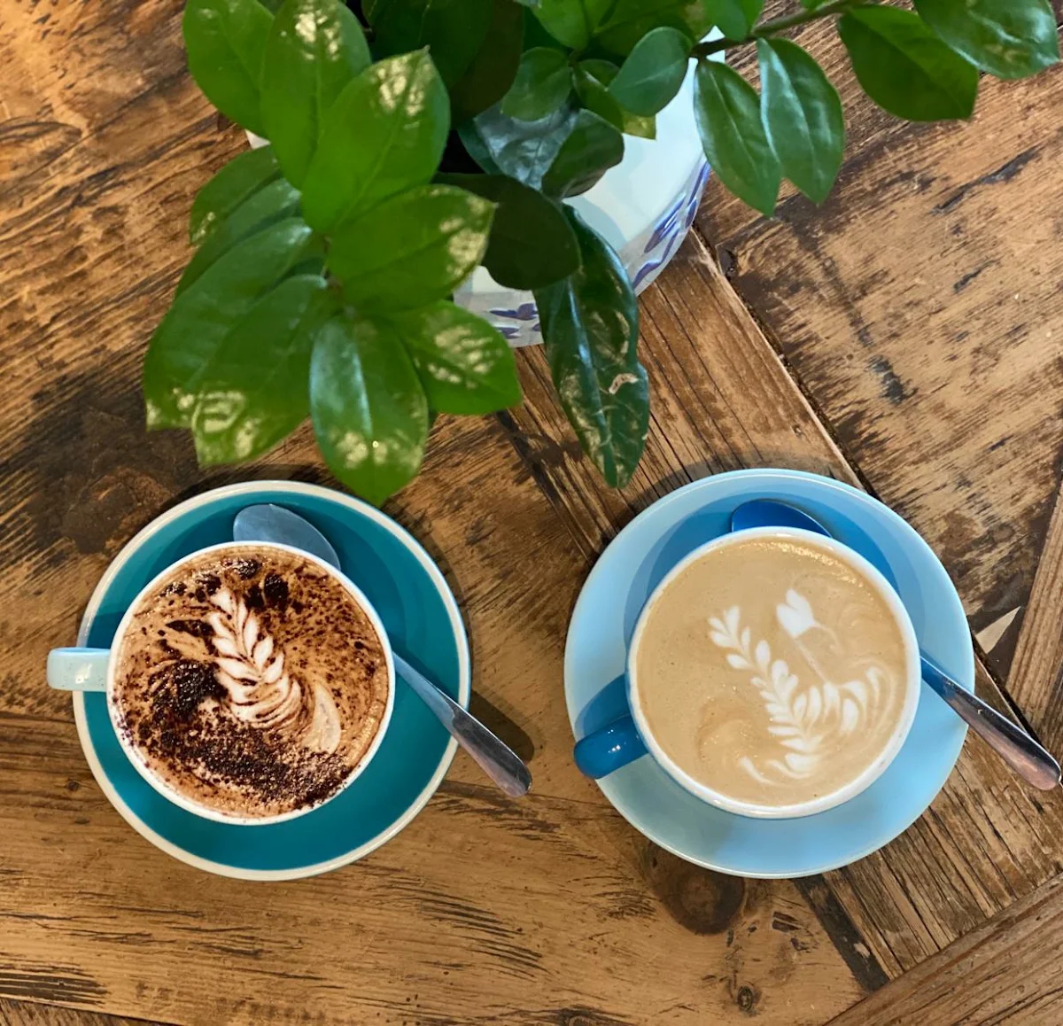 Flat White, Laneway Seven
