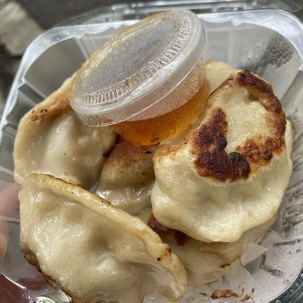 Pork Dumplings 5pcs
