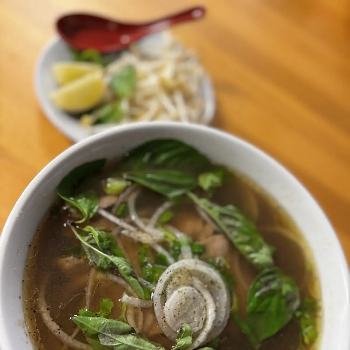 Vegan Pho - Pho Chay